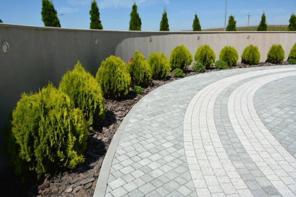 Best Interlocking Driveway Pavers  in Mertzon, TX